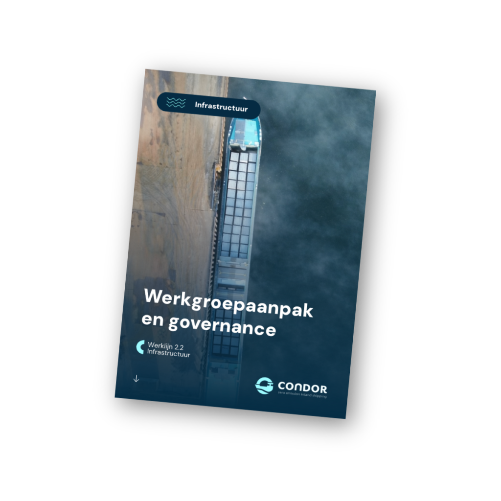 Werkgroepaanpak & governance document